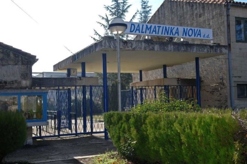 News_Dalmatinka